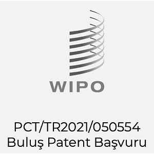 WIPO 1.jpg